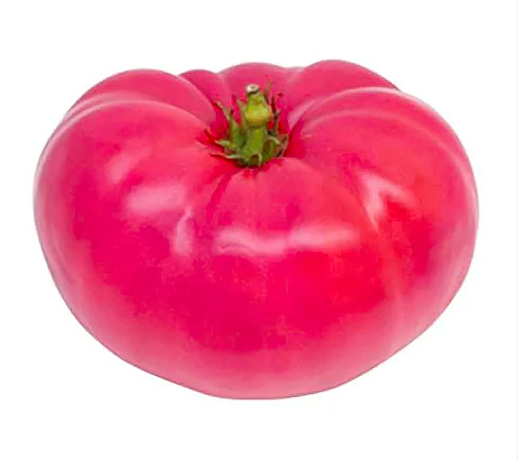 Tomato Seeds One of The Delicious Tomatoes for Home Growing