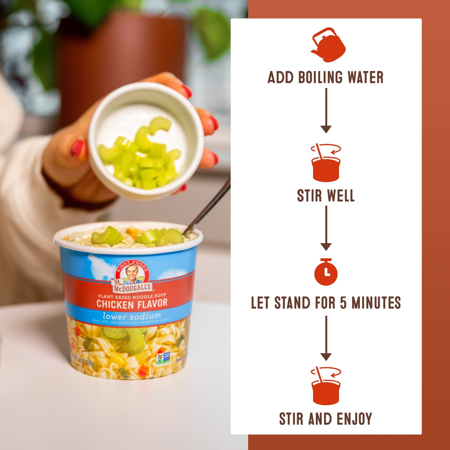 Chicken Soup - Chicken Noodle Soup - Organic Ramen Noodle Cups