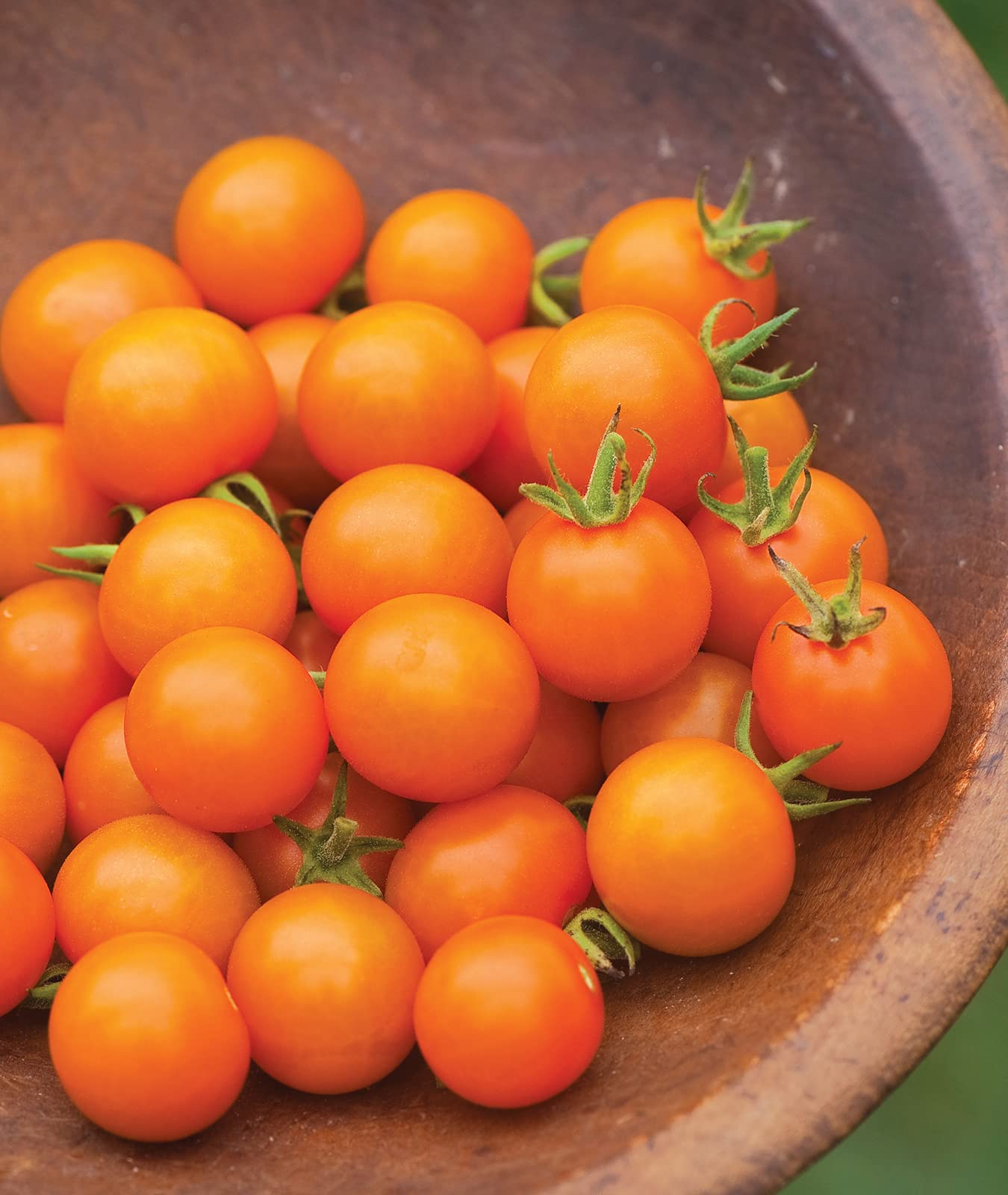 Sweet Orange Cherry Tomatoes , 30 Non-GMO Seeds