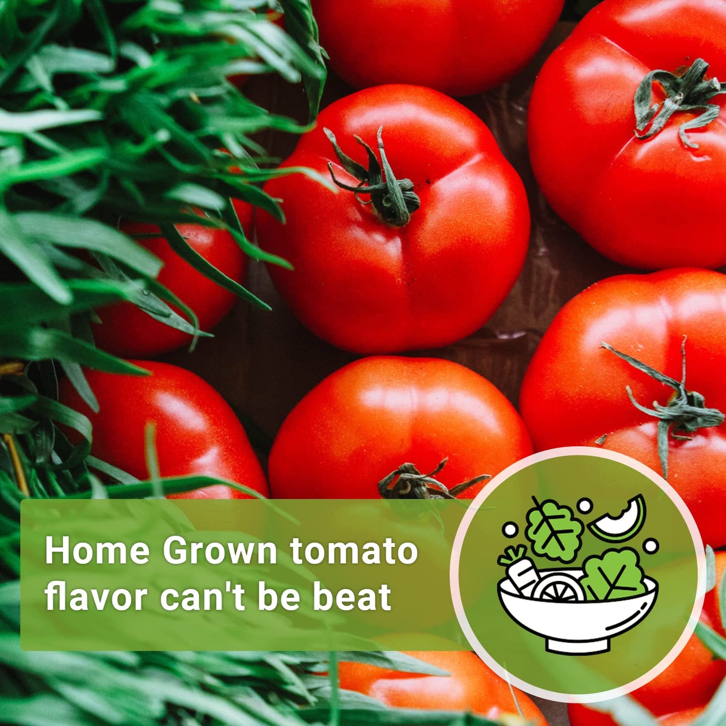 Sow Right Seeds Beefsteak Tomato Seeds for Planting