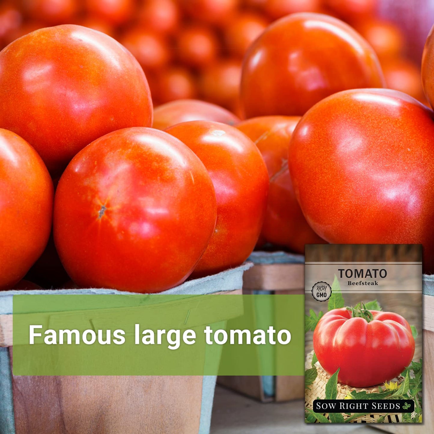 Sow Right Seeds Beefsteak Tomato Seeds for Planting