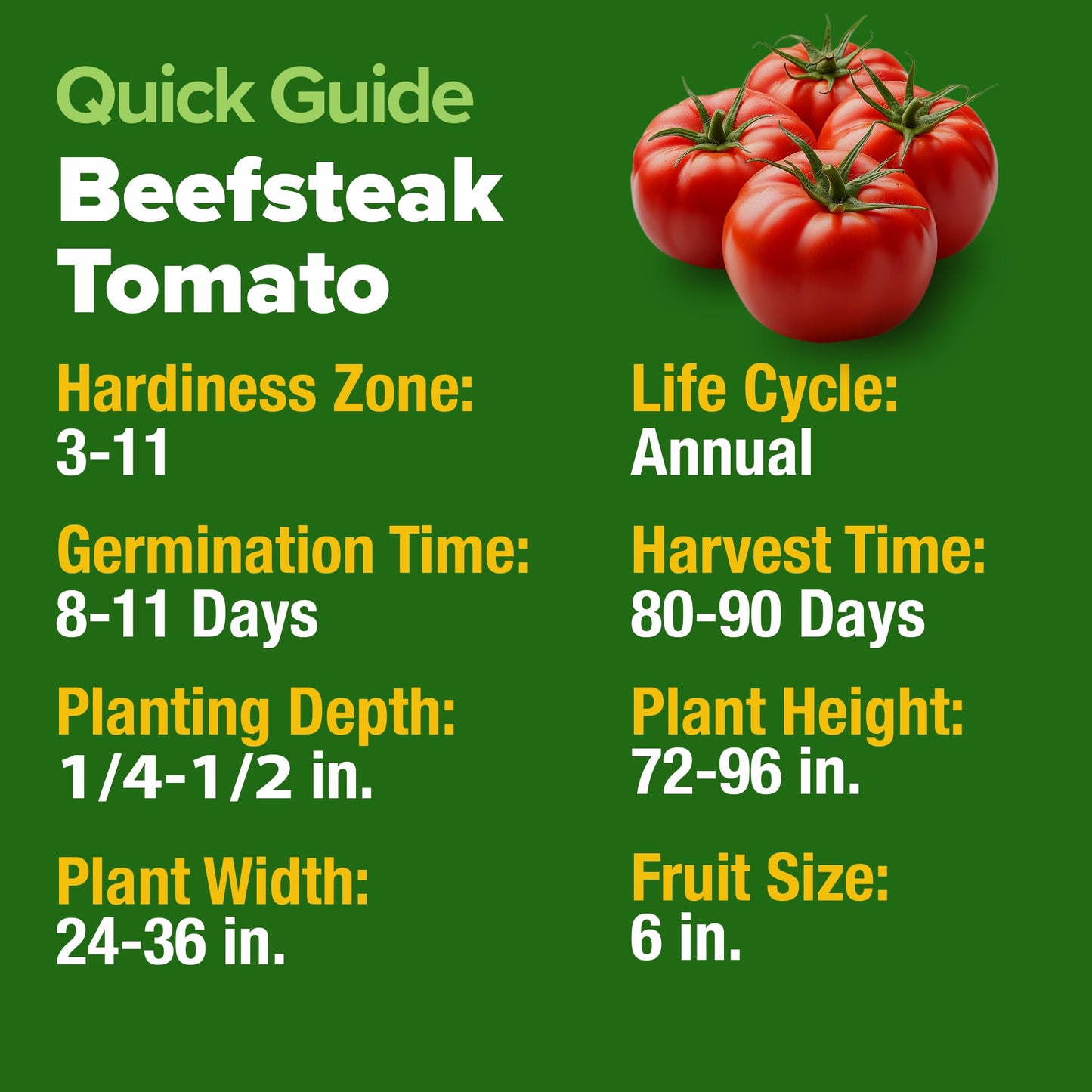 Beefsteak Tomato Seed 2Pack - 600 Heirloom Tomato Seeds