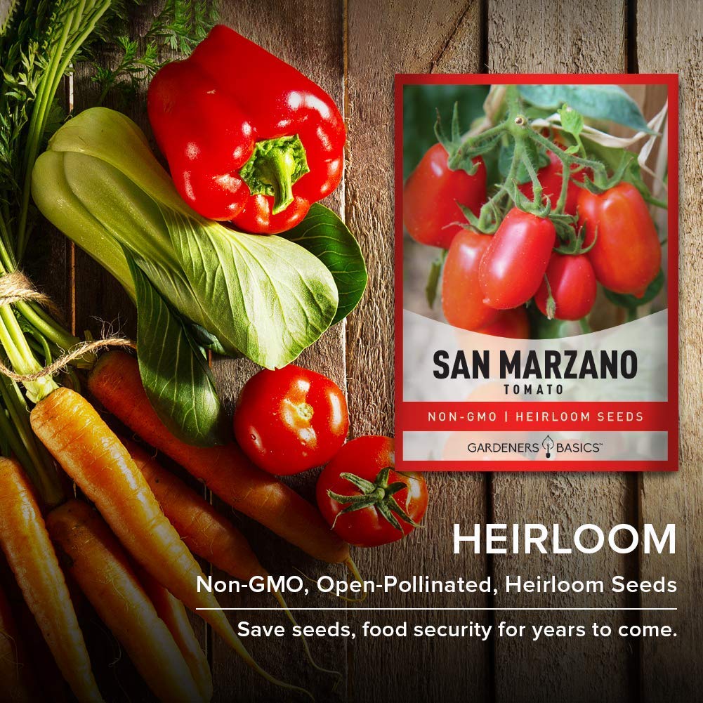 San Marzano Tomato Seeds for Planting Heirloom Non