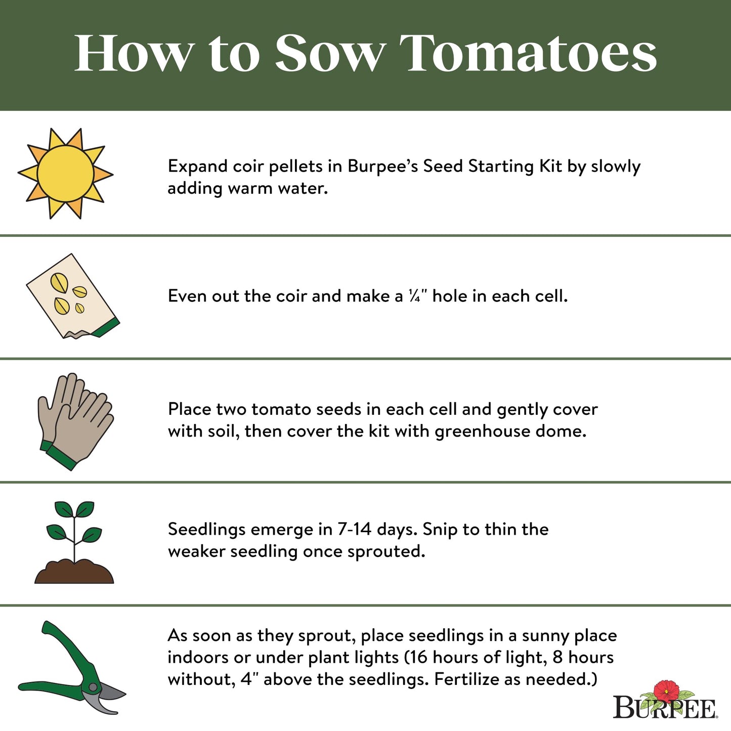 Red Tomato Slicer 35 Non-GMO Seeds for Planting Disease