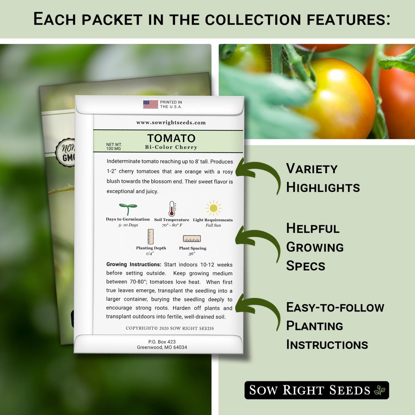 Cherry Tomato Seed Collection for Planting - Black