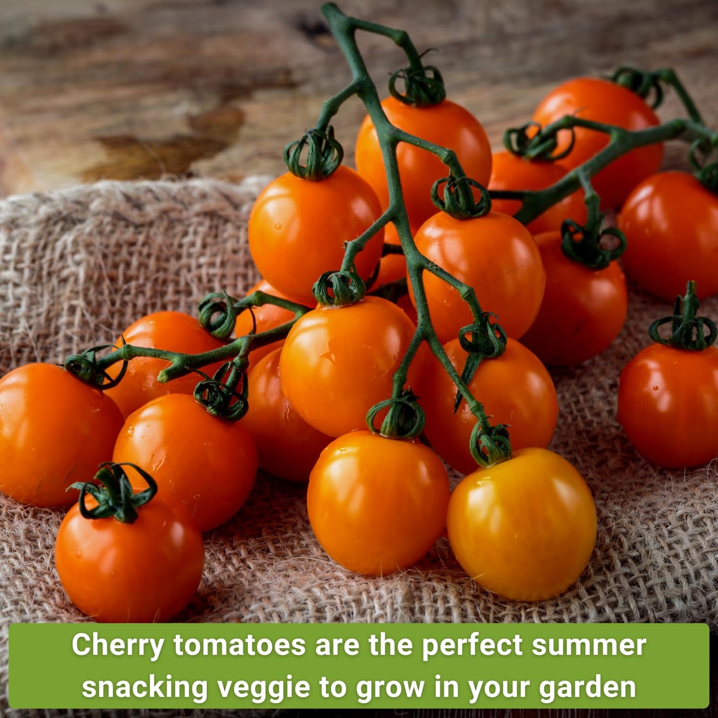 Cherry Tomato Seed Collection for Planting - Black