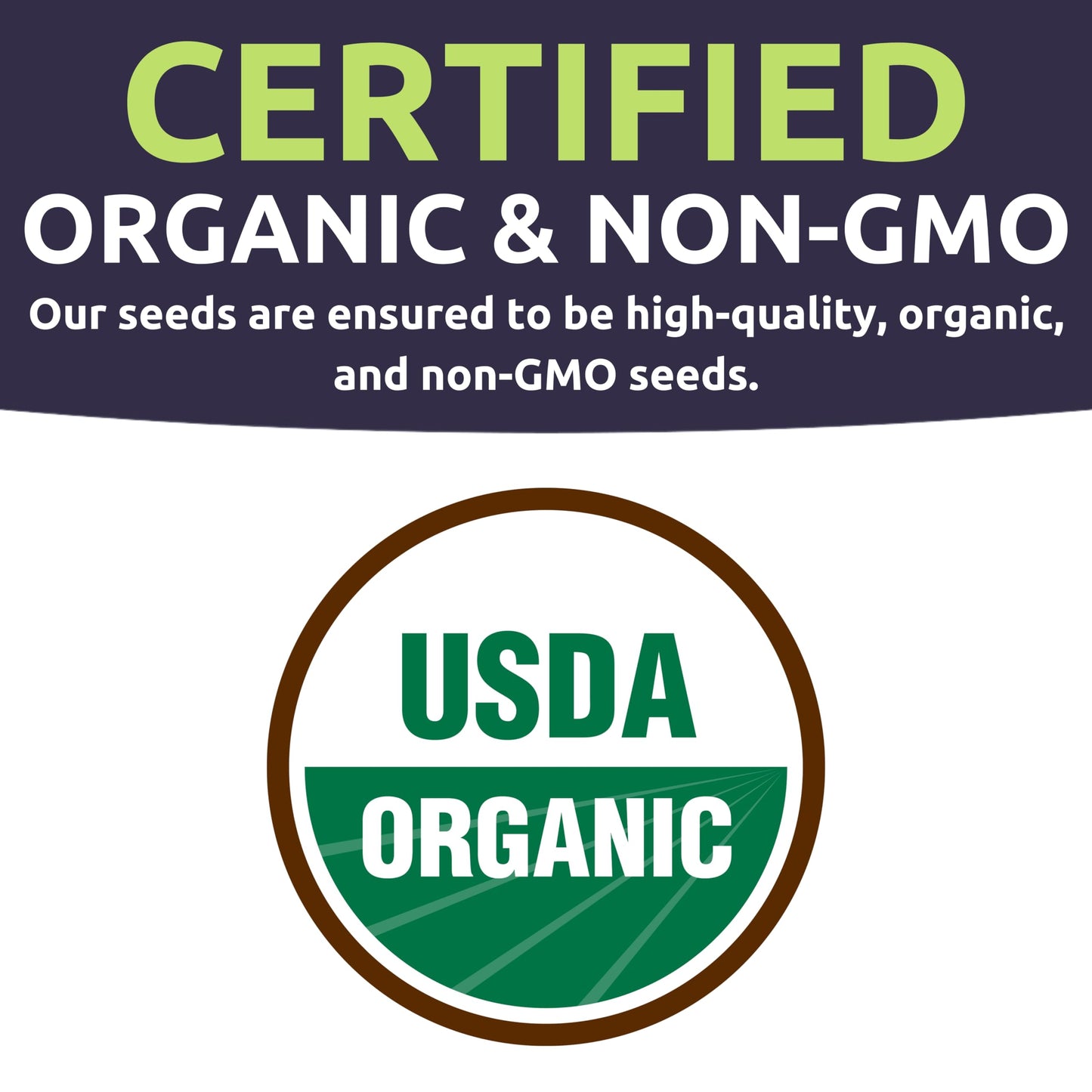 Organic Tomato Seeds Variety Pack - 10 Individual Packs