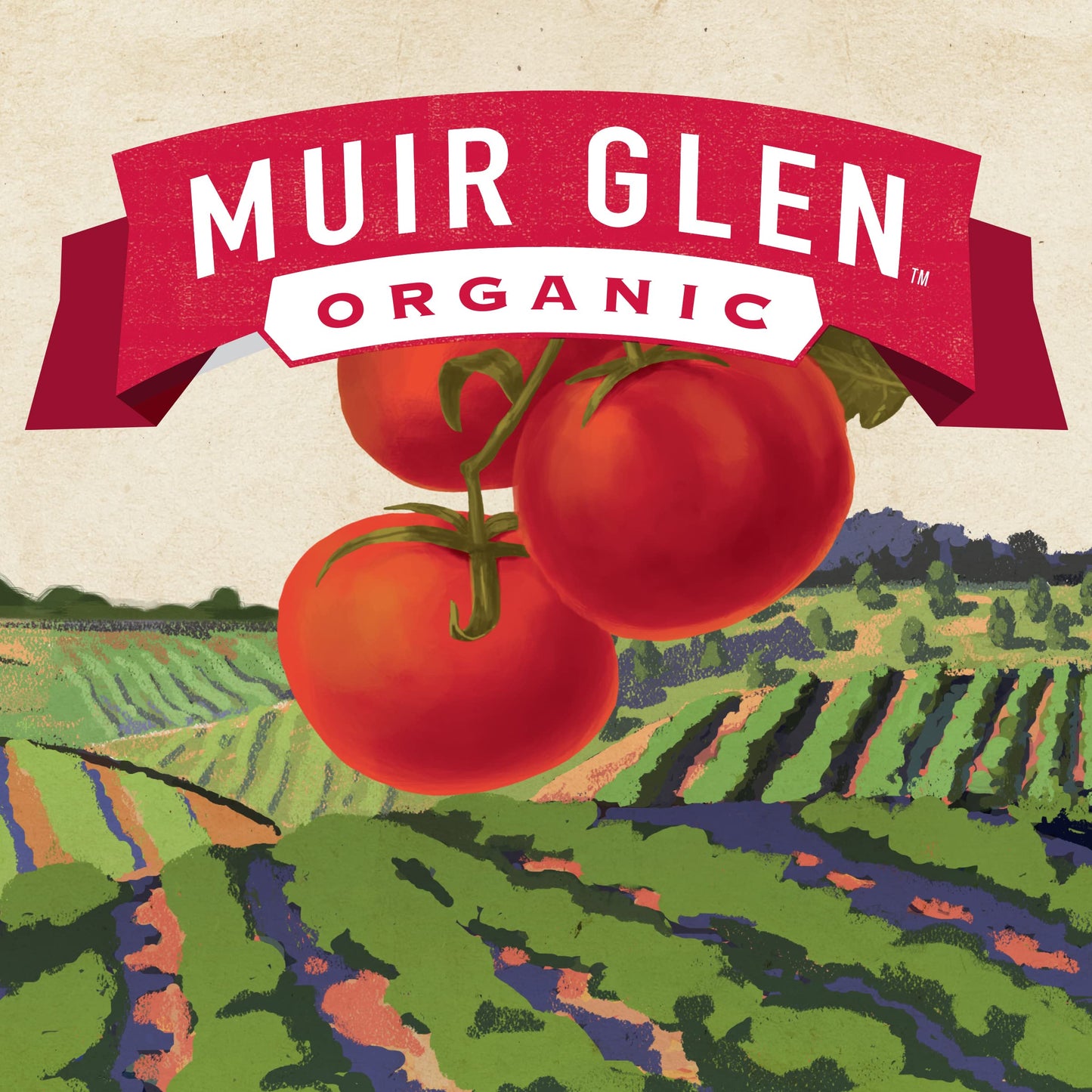 Muir Glen Organic Tomato Sauce, 15 oz. (Pack of 12)