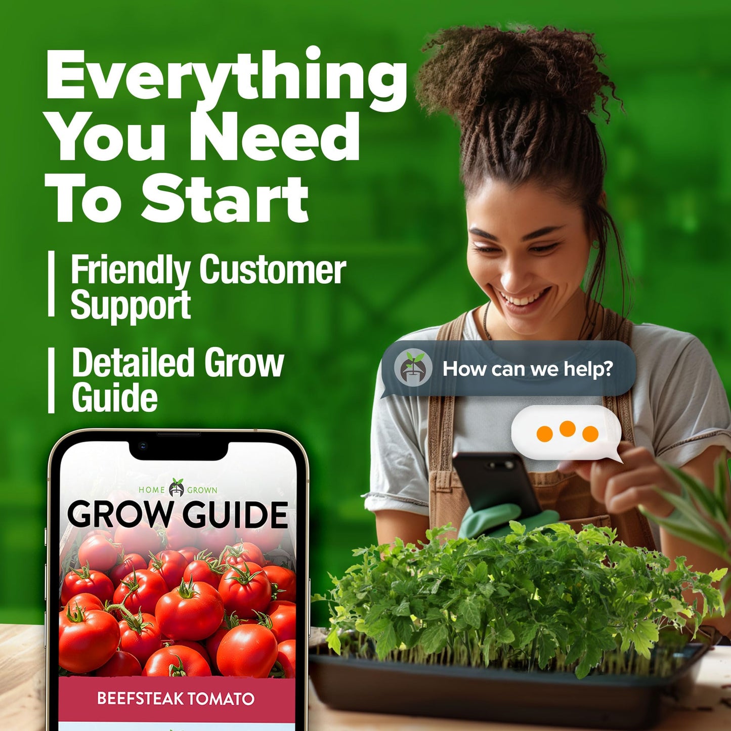 300 Heirloom Tomato Seeds for Planting Outdoors