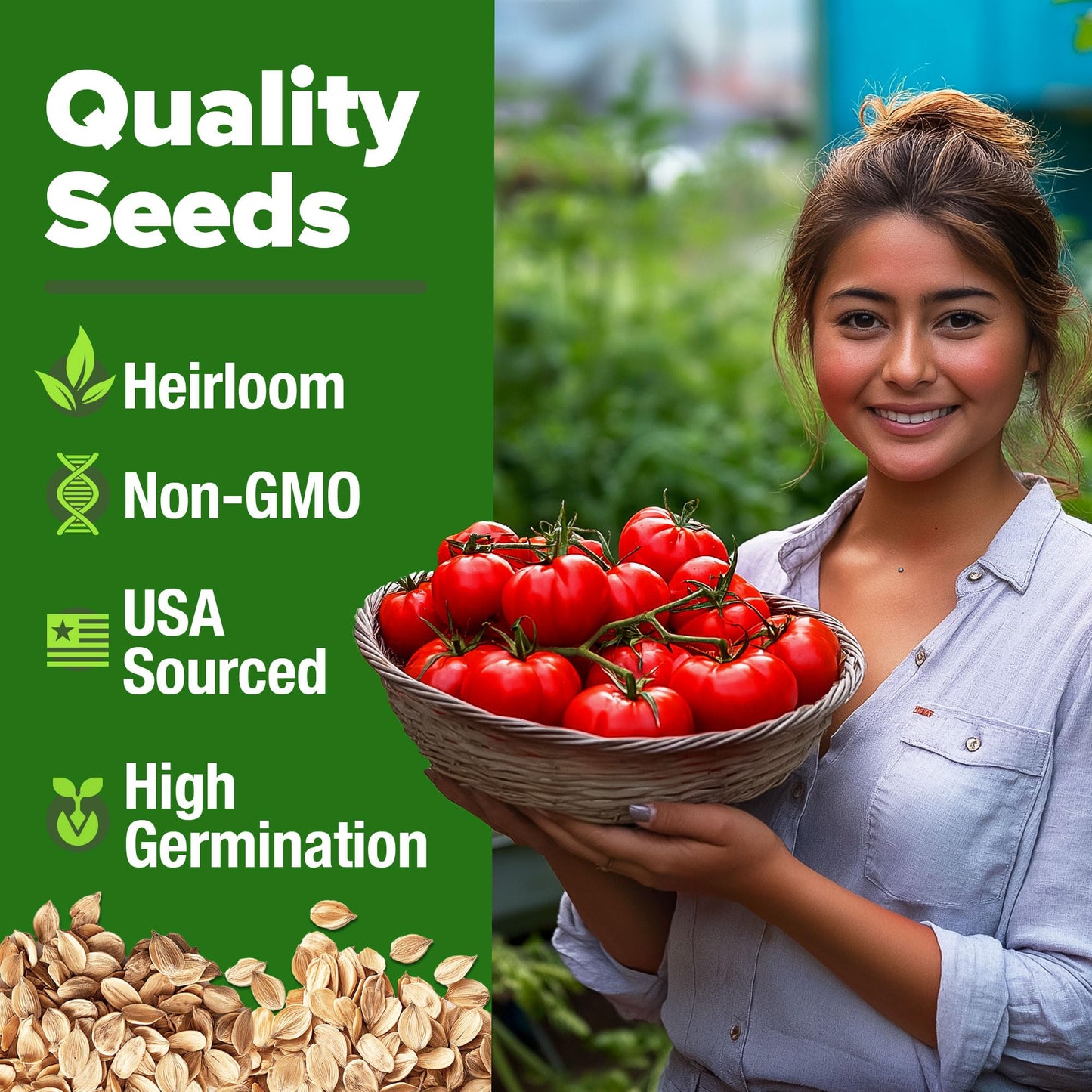 Beefsteak Tomato Seed 2Pack - 600 Heirloom Tomato Seeds