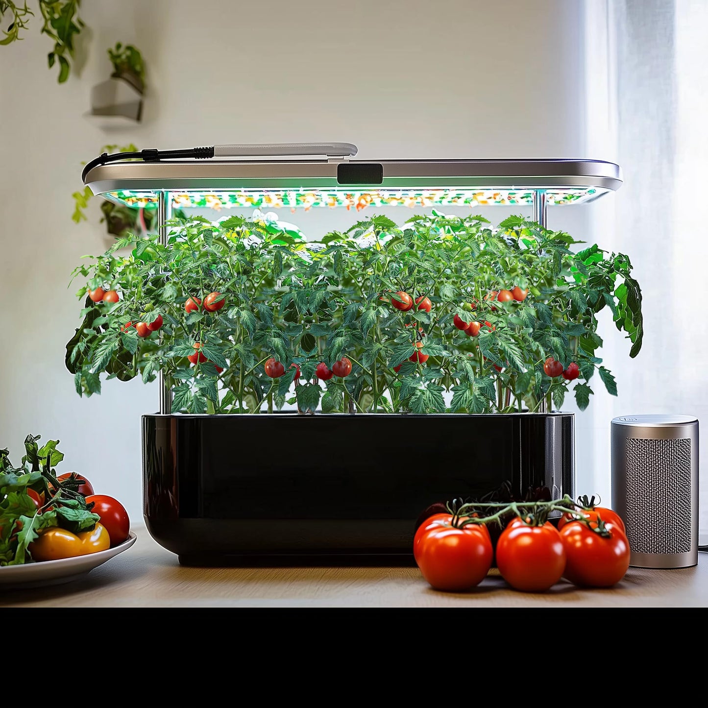 Heirloom Vegetable Seed for Planting Indoor Outdoor