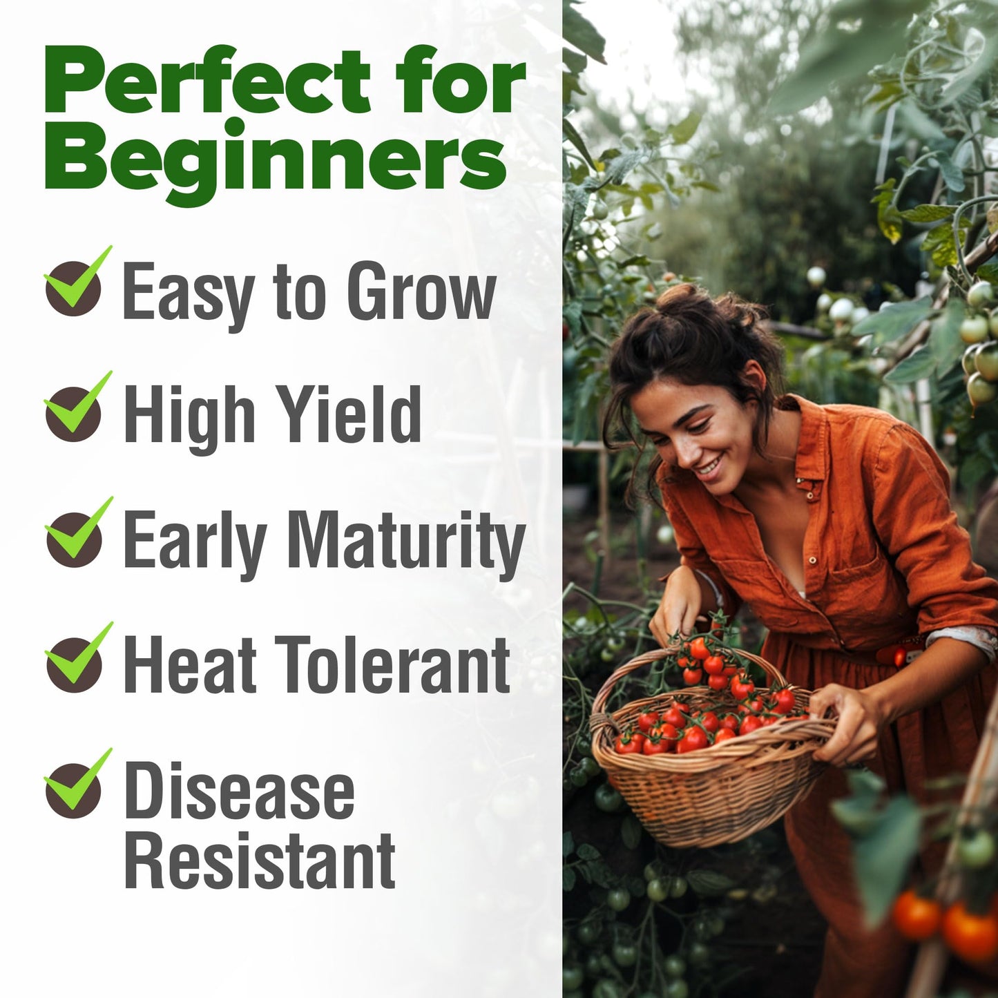 Tomato Seeds for Planting Vegetable Seeds for Homesteading