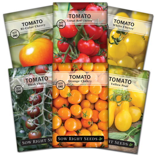 Cherry Tomato Seed Collection for Planting - Black