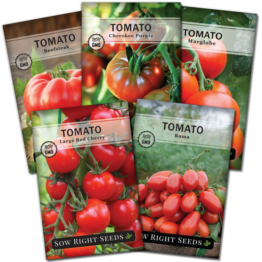 Classic Tomato Seed Collection for Planting Cherokee Purple