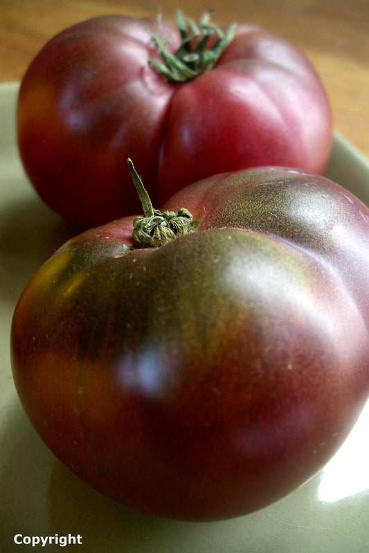 Cherokee Purple Heirloom Tomato Seeds- 75+ Seeds